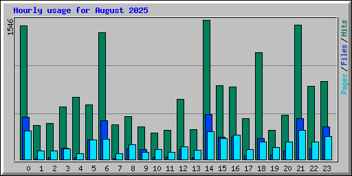 Hourly usage for August 2025
