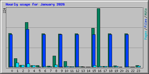 Hourly usage for January 2026