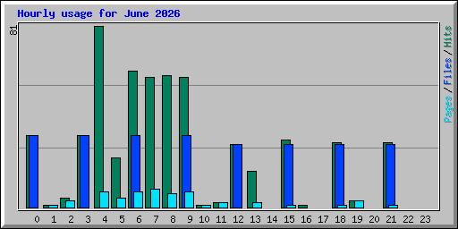 Hourly usage for June 2026